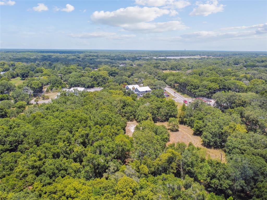 An aerial view shows a wooded lot with a building and road in the background — 10413 MAIN STREET, THONOTOSASSA, FL