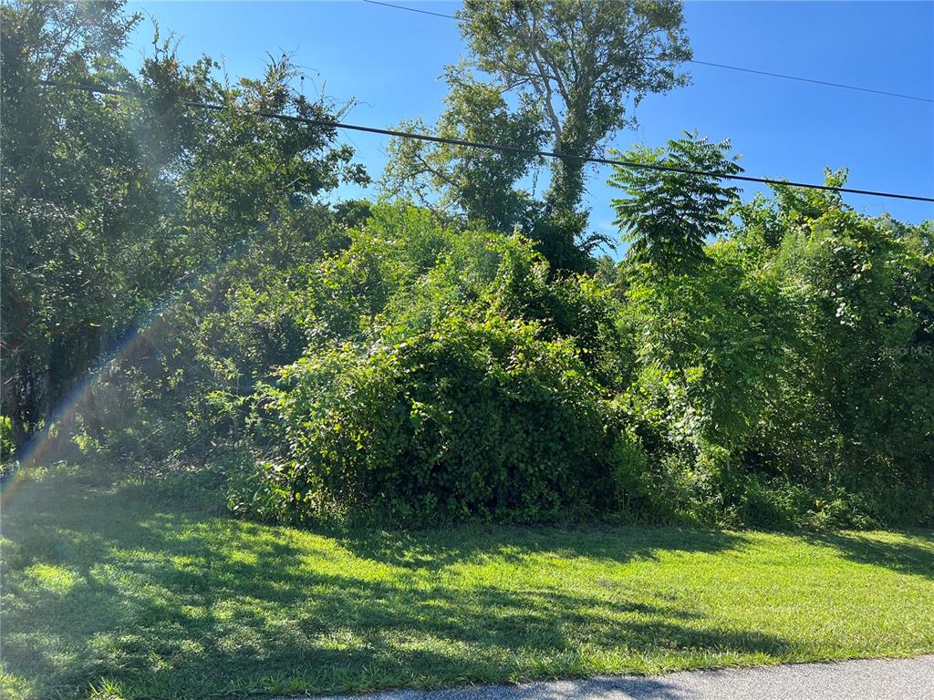 A dense, overgrown lot with trees and shrubs sits behind a patch of green grass — 33 PEPPERDINE DRIVE, PALM COAST, FL