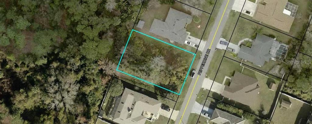 This aerial view shows a vacant, wooded residential lot outlined in blue along a street — 33 PEPPERDINE DRIVE, PALM COAST, FL