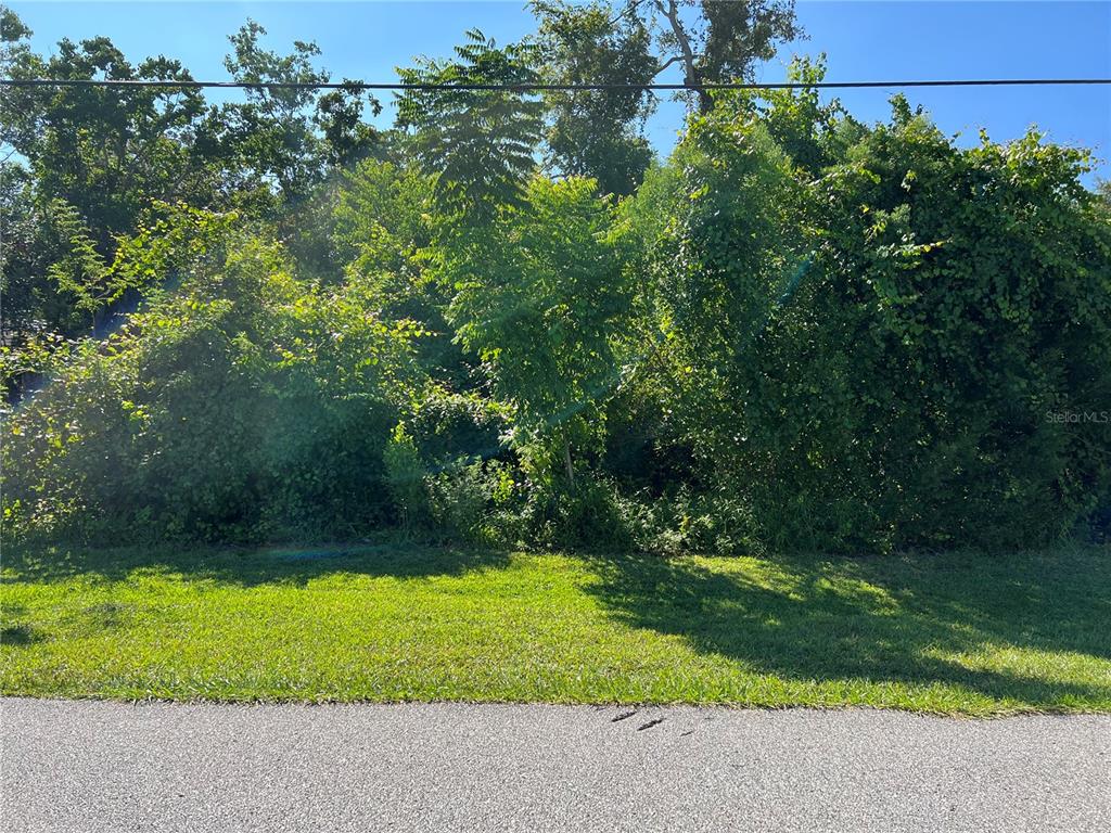 A grassy roadside area leads to a dense, overgrown patch of trees and shrubs — 33 PEPPERDINE DRIVE, PALM COAST, FL