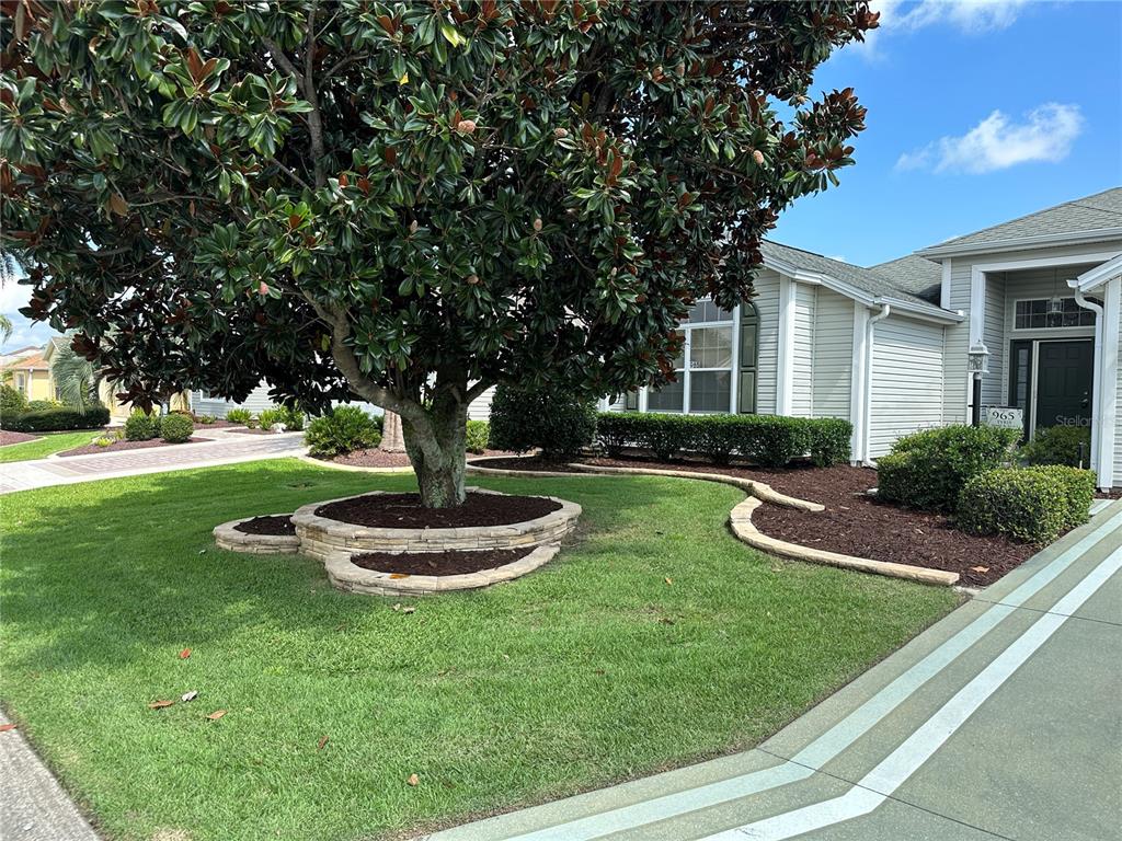 965 TALAPIA LOOP, THE VILLAGES, FL — photo 2 of 37