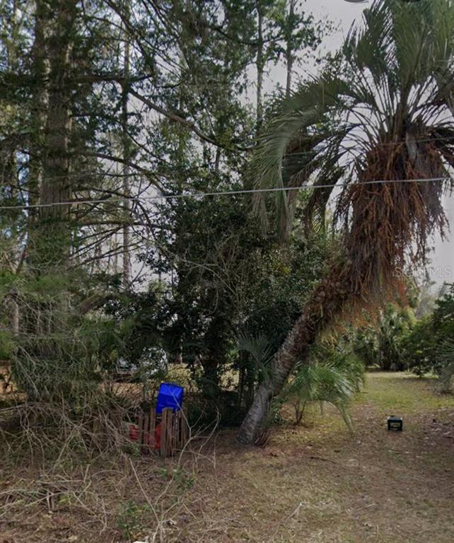 A leaning palm tree stands in a wooded yard with a blue bin and debris — 3621 SW 18TH STREET, GAINESVILLE, FL