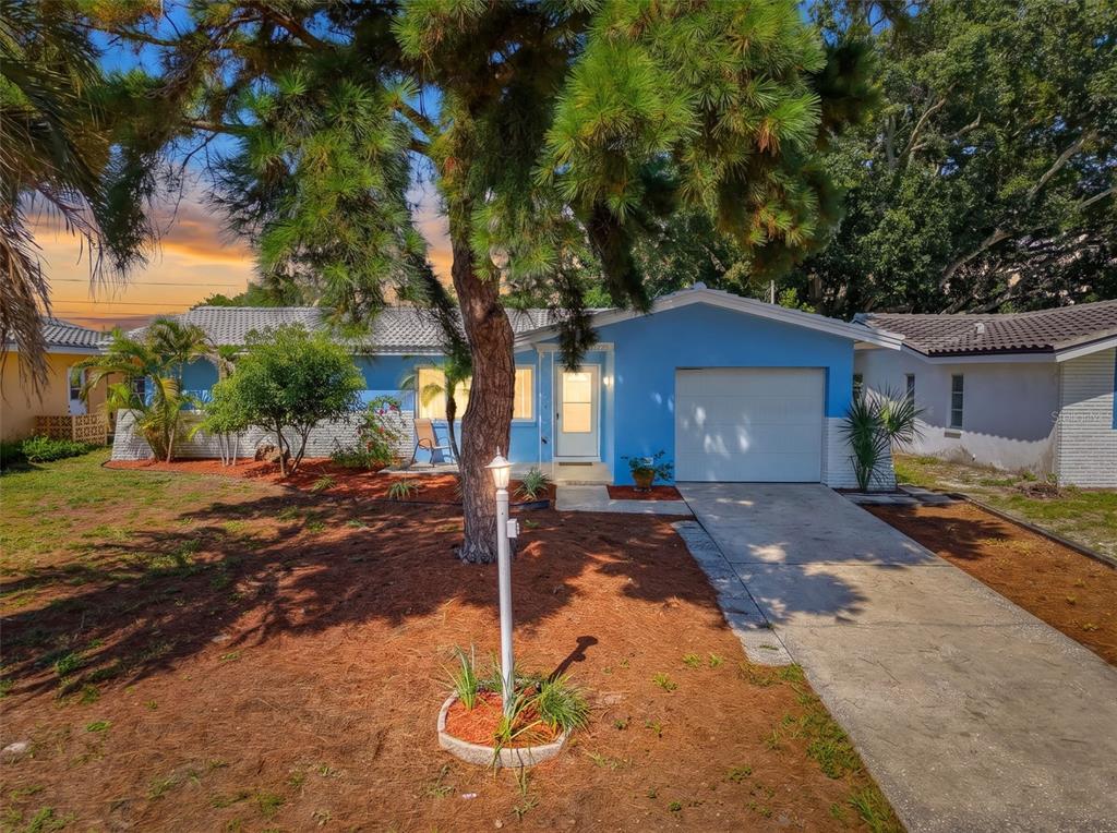 A blue single-story house with a white garage door and a pine tree in front — 2373 FOREST DRIVE, CLEARWATER, FL