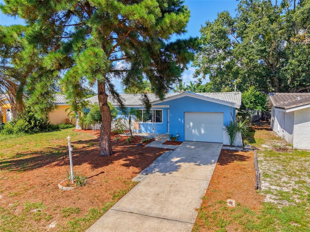 A single-story blue house with a white garage door, concrete driveway, and large pine tree — 2373 FOREST DRIVE, CLEARWATER, FL