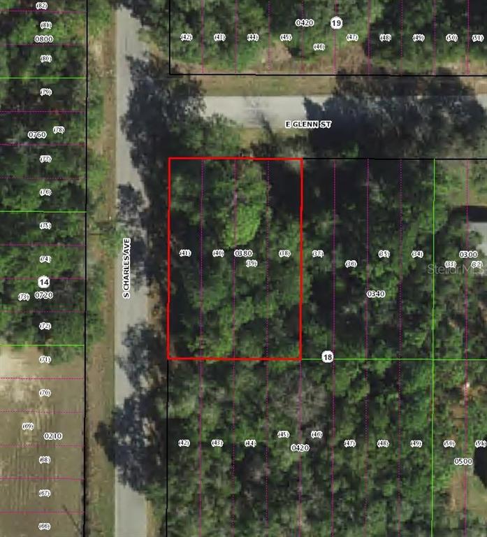 3022 E GLENN STREET, INVERNESS, FL — photo 2 of 2