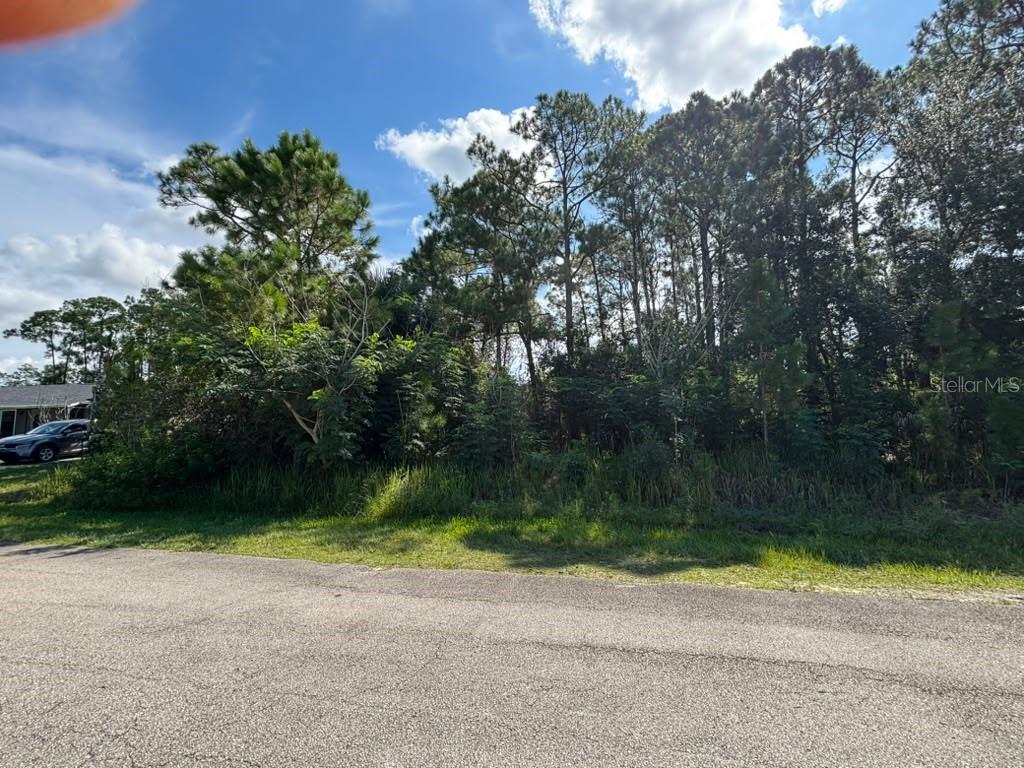 467 WAYLAND ROAD SW, PALM BAY, FL — photo 5 of 6