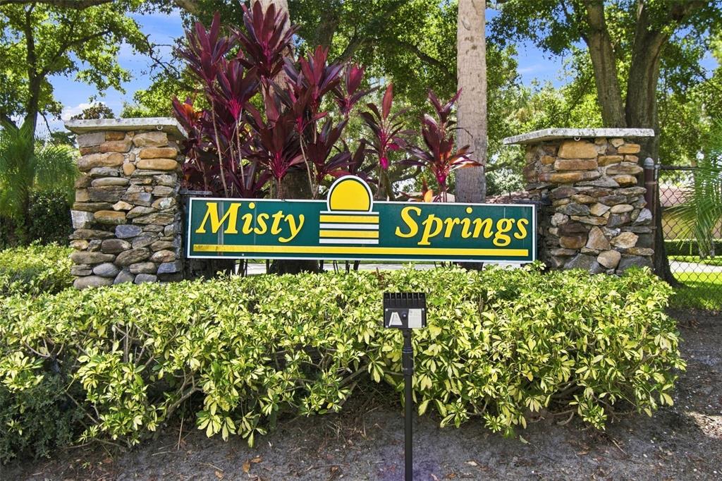 2671 SABAL SPRINGS CIRCLE UNIT 103, CLEARWATER, FL — photo 3 of 30