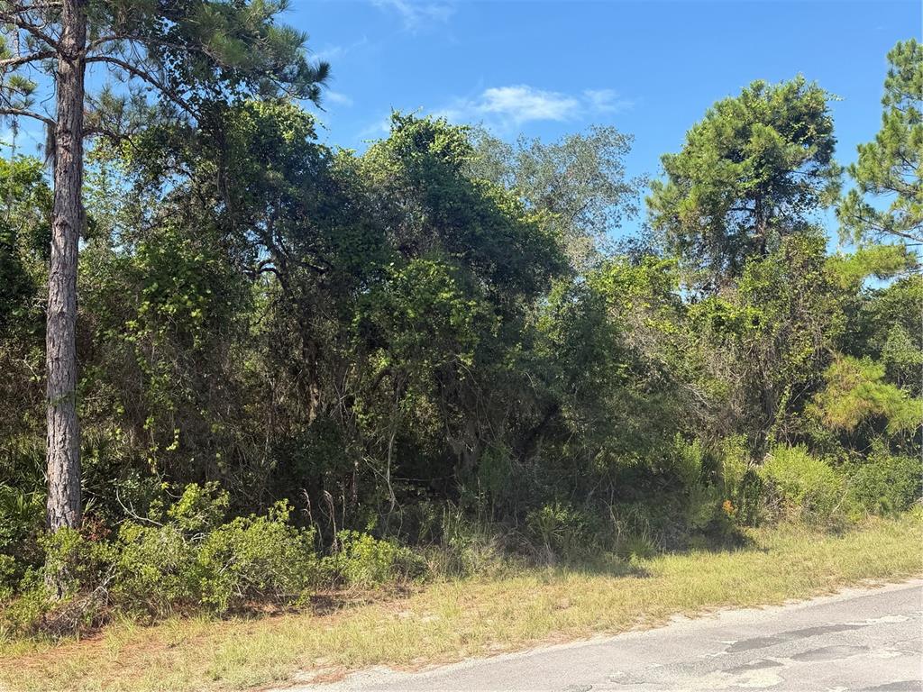 A view of a densely wooded, undeveloped lot bordering a paved road — TBD MALAUKA RADIAL, OCKLAWAHA, FL