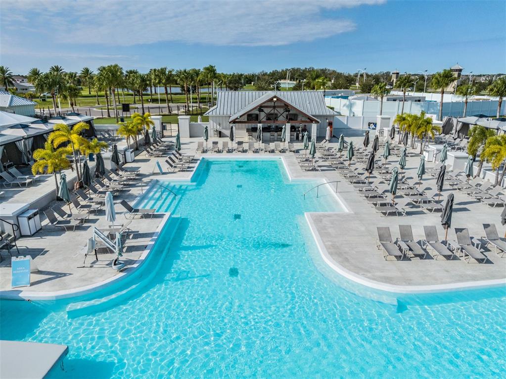 An aerial view of a rectangular swimming pool surrounded by lounge chairs and palm trees — 7328 POOL COMPASS LOOP, WESLEY CHAPEL, FL
