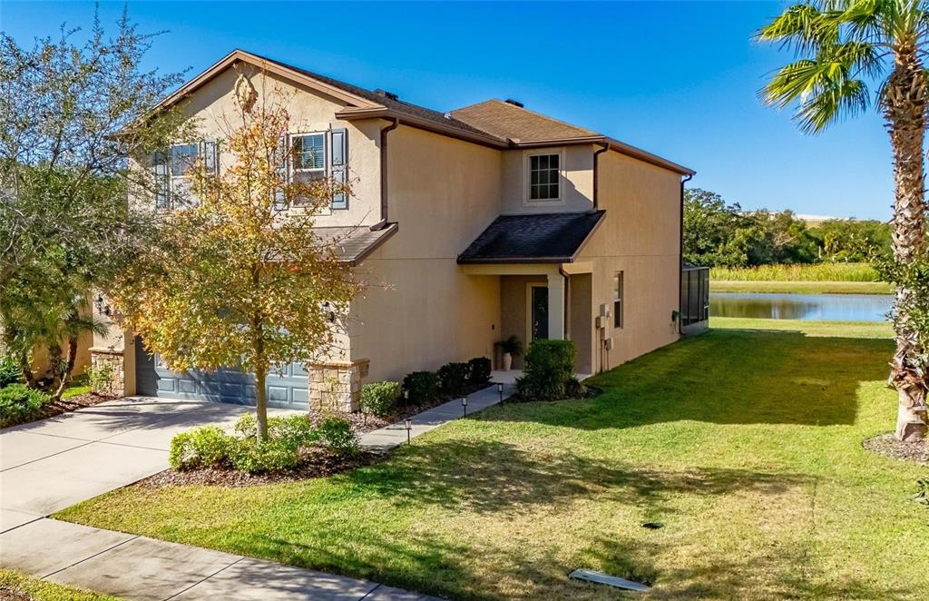 6418 YELLOW BUCKEYE DRIVE