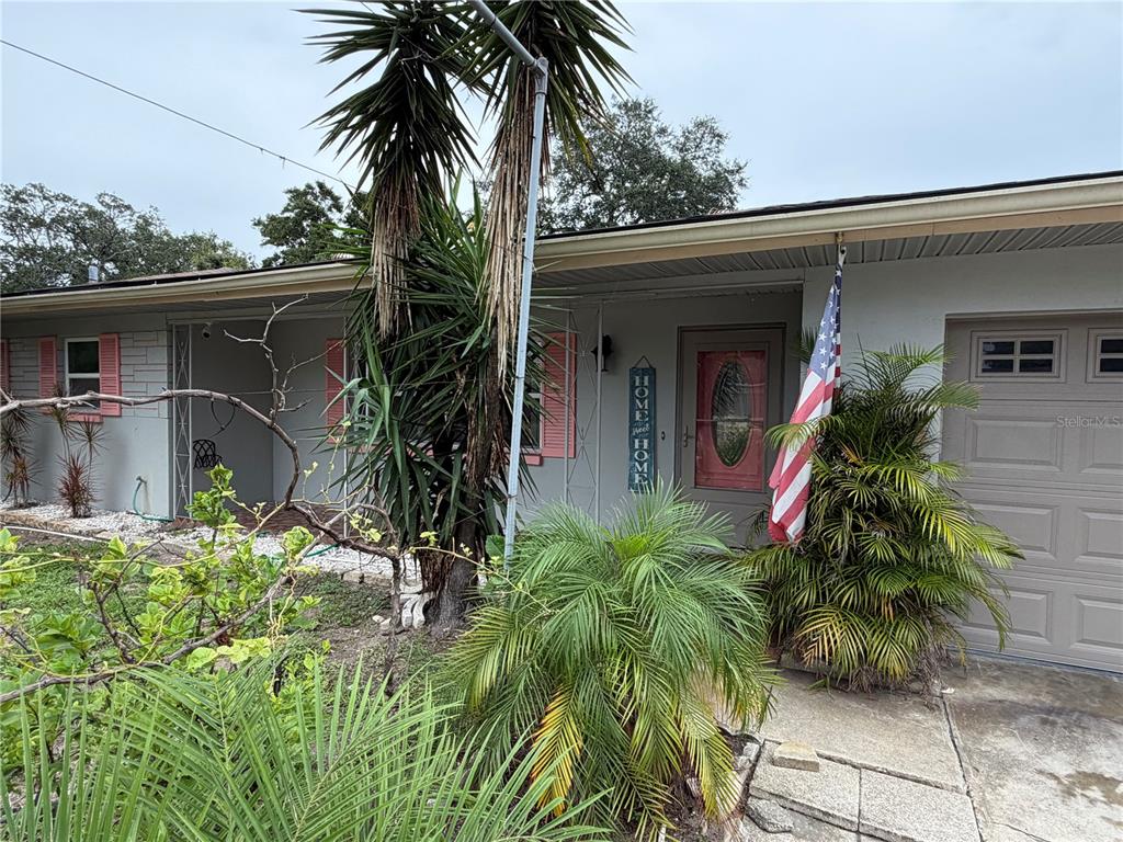 A single-story gray house with pink shutters sits on a grassy lot with large trees — 1513 S KEENE ROAD, CLEARWATER, FL