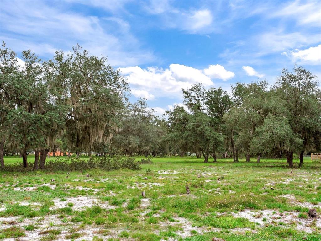 LAKE BUFFUM ROAD N, FORT MEADE, FL — photo 4 of 23