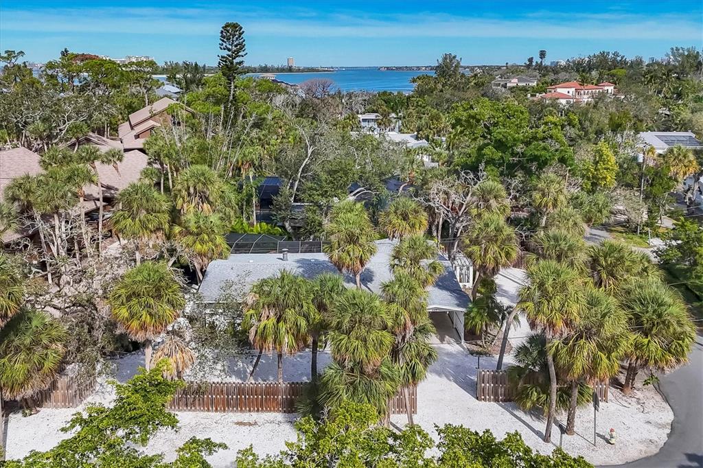 An aerial view shows a house surrounded by palm trees and lush vegetation near water — 445 REID STREET, SARASOTA, FL