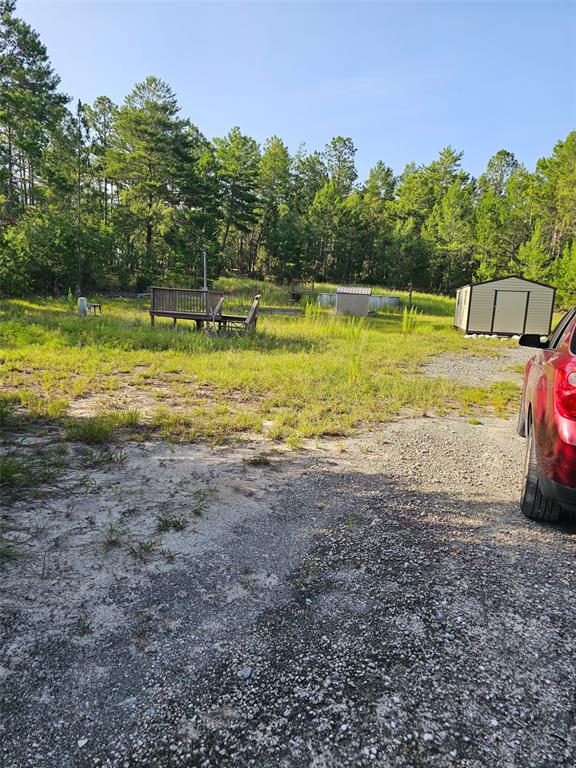 A gravel driveway leads to a wooden deck and a shed on a grassy lot — 14150 E 6TH LANE, WILLISTON, FL