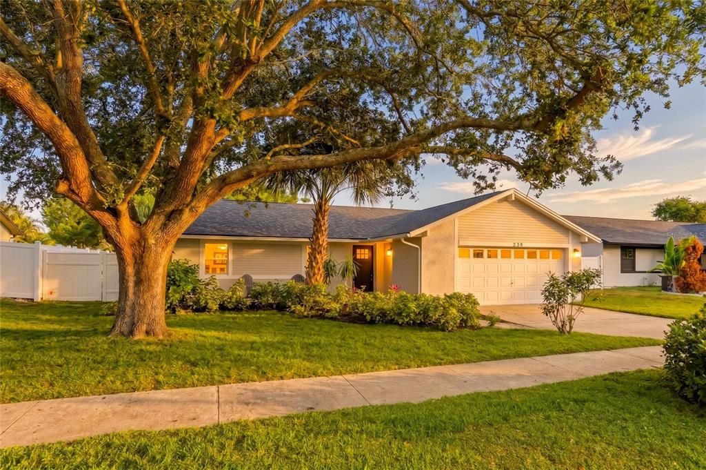 239 MYRTLE COURT