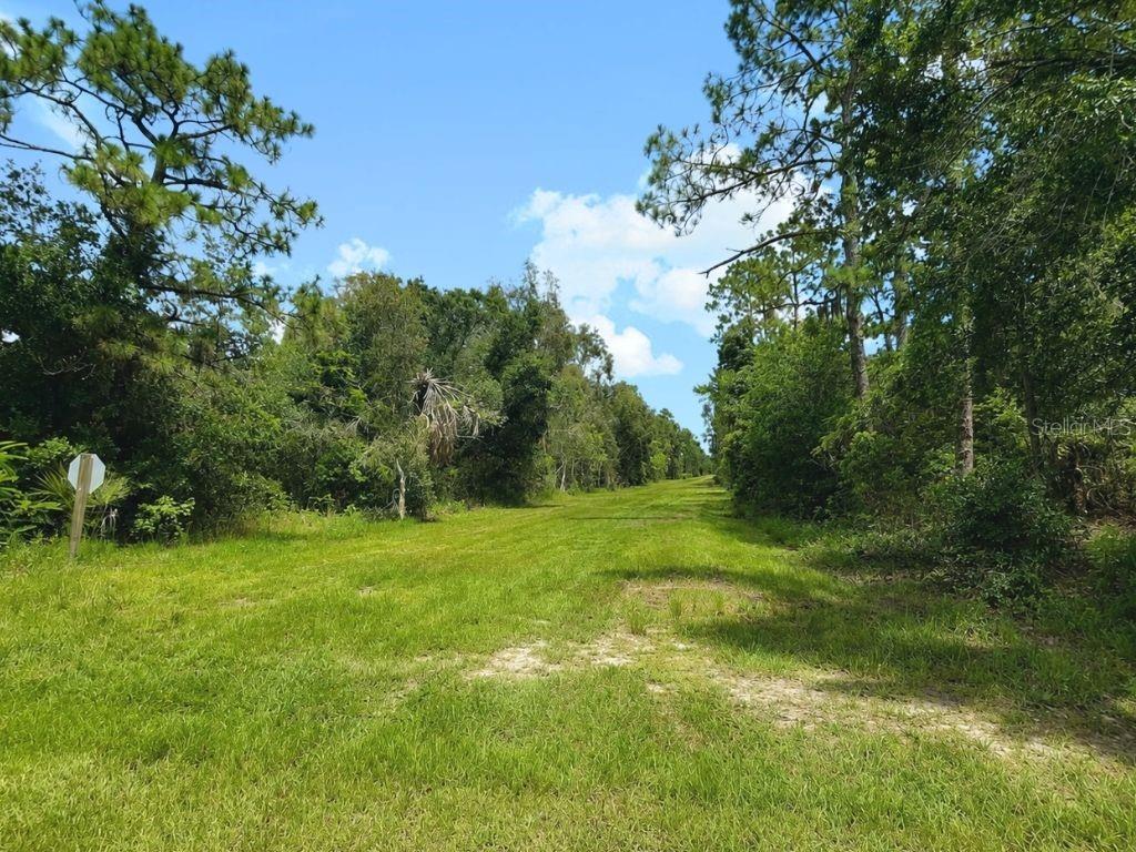 Blk 254 Lot 7 EL DORADO DRIVE