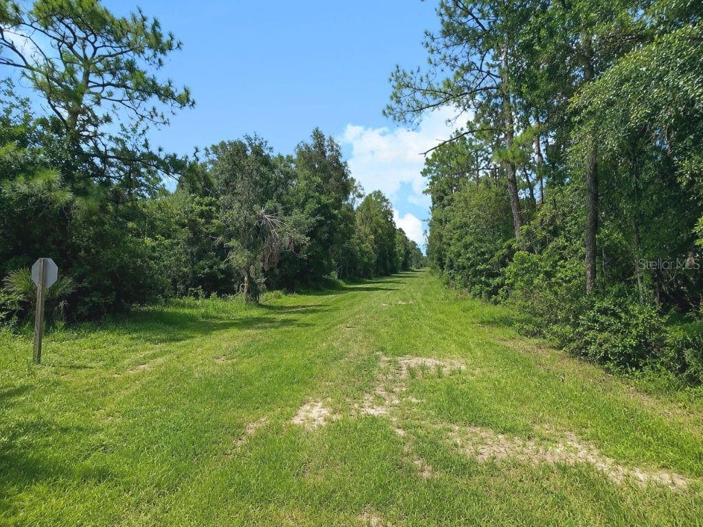 A grassy path leads through a wooded area under a clear blue sky — Blk 254 Lot 7 EL DORADO DRIVE, INDIAN LAKE ESTATES, FL