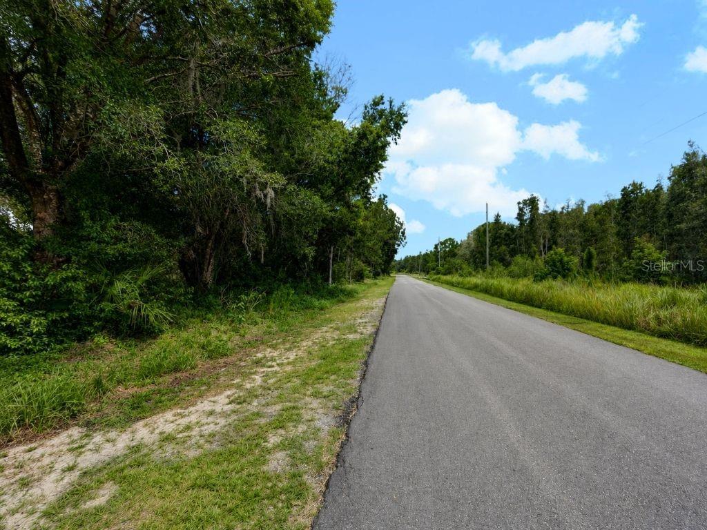 A paved road stretches into the distance between a wooded area and a grassy field — Blk 254 Lot 7 EL DORADO DRIVE, INDIAN LAKE ESTATES, FL