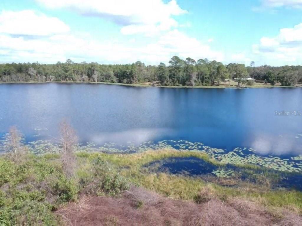 A view of a lake surrounded by trees and vegetation under a blue sky — 0 Gracie DRIVE, PAISLEY, FL