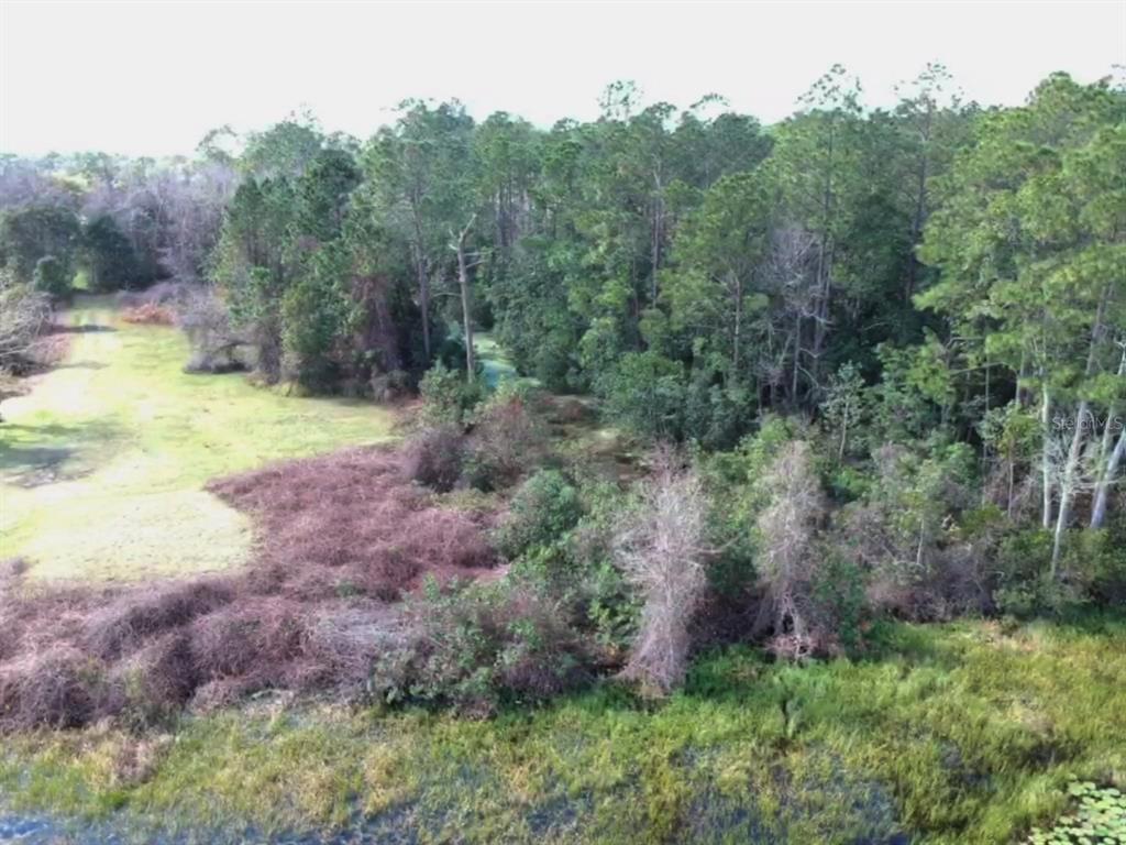 An aerial view shows a grassy clearing bordering a dense forest and a marshy area — 0 Gracie DRIVE, PAISLEY, FL