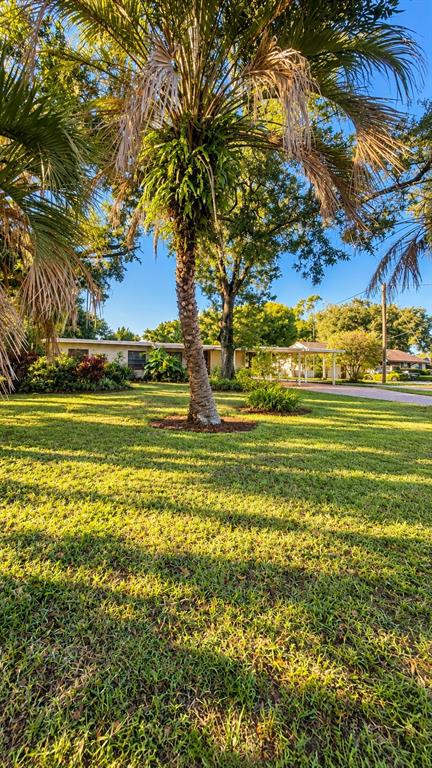 3508 CRYSTAL STREET, GOTHA, FL — photo 2 of 31