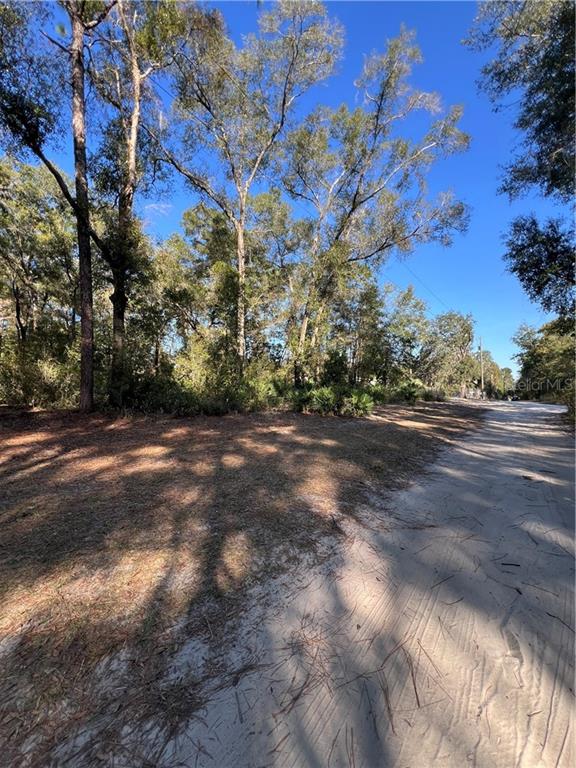 O SE 179TH PLACE, SUMMERFIELD, FL — photo 2 of 6