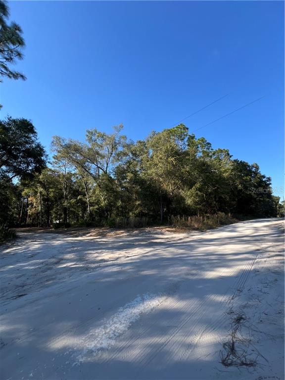 O SE 179TH PLACE, SUMMERFIELD, FL — photo 5 of 6