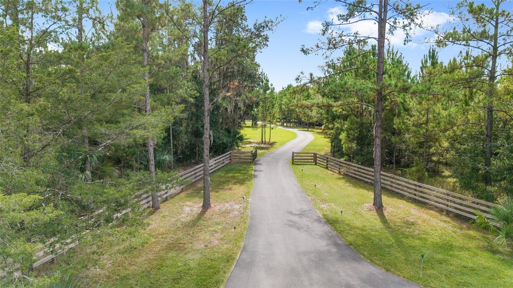 A paved driveway leads through a wooden fence into a wooded area — 15600 NW 185TH STREET, WILLISTON, FL