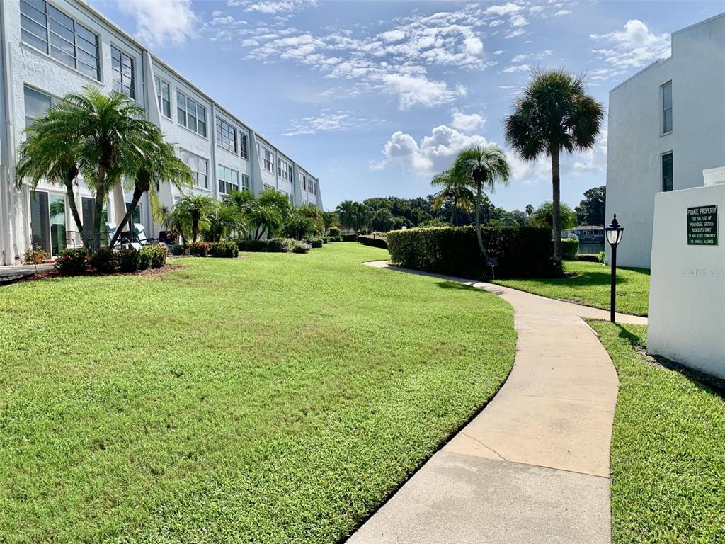 A concrete walkway winds through a grassy lawn between a multi-story building and palm trees — 1655 S HIGHLAND AVENUE UNIT I379, CLEARWATER, FL