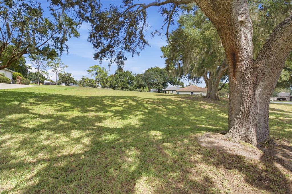 TBD GRIFFIN LANDING, LADY LAKE, FL — photo 4 of 12
