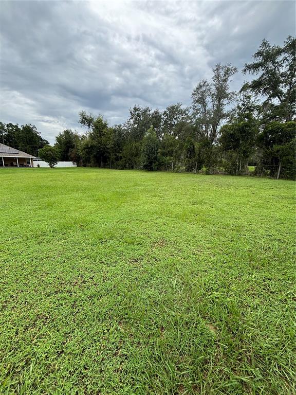 A large, grassy, vacant residential lot is bordered by a line of mature trees — SE 157TH STREET, SUMMERFIELD, FL