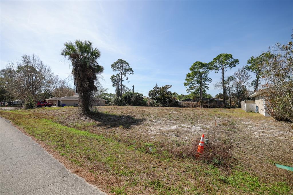 A vacant, grassy lot with a single palm tree sits beside a paved road — 3128 INDIA PALM DRIVE, EDGEWATER, FL