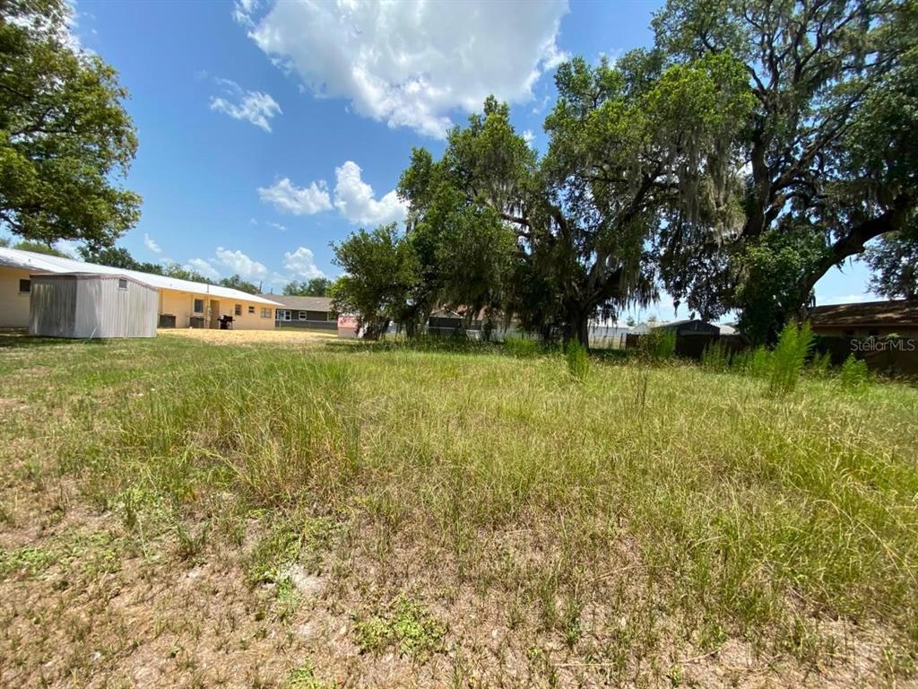 A grassy, undeveloped lot features large oak trees and a small shed in the background — 0 BLUEJAY TERRACE, DADE CITY, FL