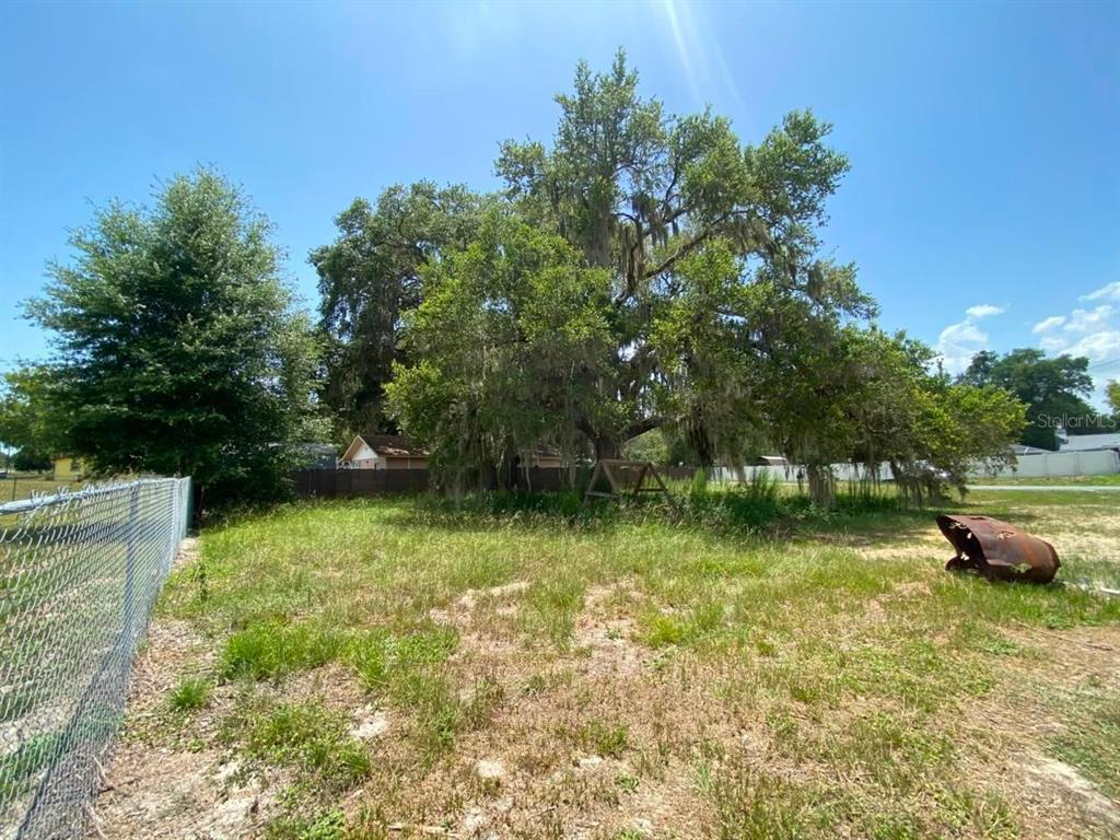 A grassy vacant lot features a large, moss-draped tree and a chain-link fence — 0 BLUEJAY TERRACE, DADE CITY, FL