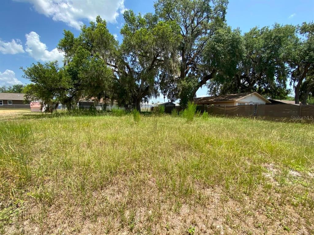 A grassy, vacant lot features several large, mature oak trees under a partly cloudy sky — 0 BLUEJAY TERRACE, DADE CITY, FL