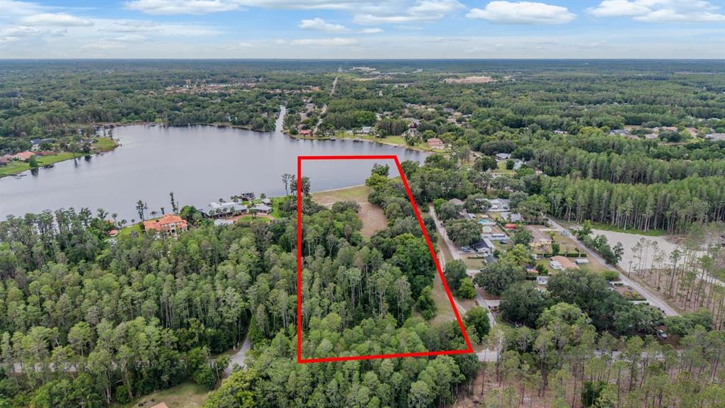 An aerial view shows a rectangular wooded lot bordering a lake with surrounding residential properties — 215 LAKE BRANT DRIVE, LUTZ, FL