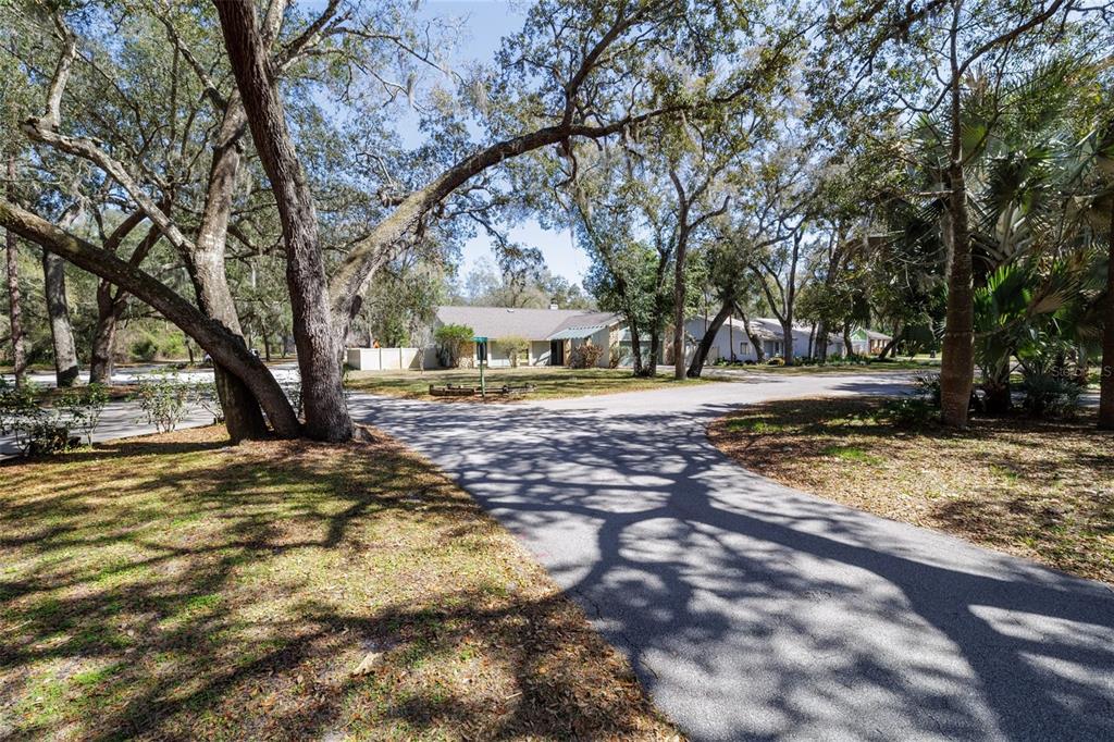 A paved driveway leads toward a one-story house surrounded by large, mature oak trees — 317 OAK FERN CIRCLE, ORMOND BEACH, FL