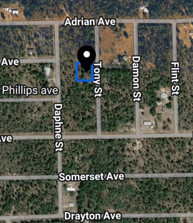 This is an aerial map showing a highlighted rectangular plot of land on a street — TOBY STREET, INTERLACHEN, FL