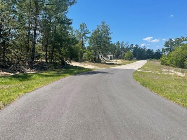 A paved road curves through a wooded area toward a house in the distance — 1342 HOMOSASSA DRIVE, POINCIANA, FL