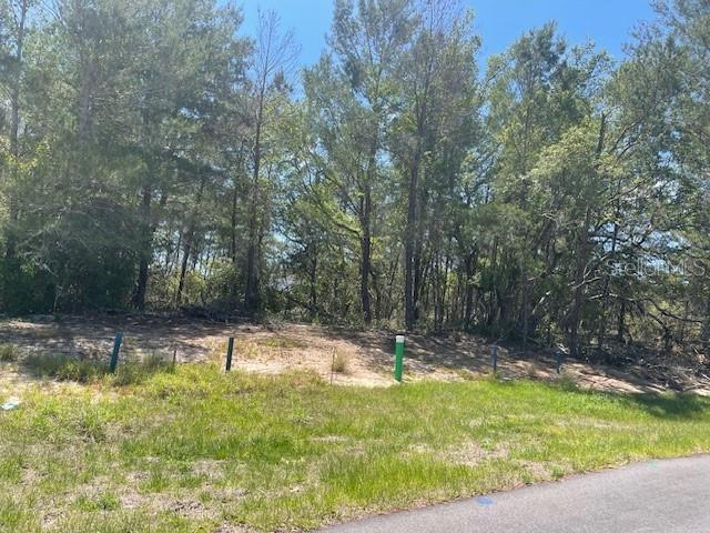A vacant, wooded lot features a grassy foreground and several utility markers along the edge — 1342 HOMOSASSA DRIVE, POINCIANA, FL