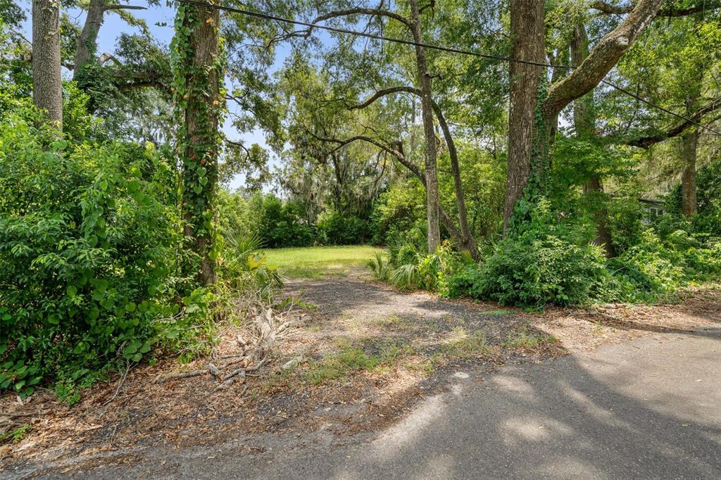 NW 246TH STREET, HIGH SPRINGS, FL — photo 2 of 19
