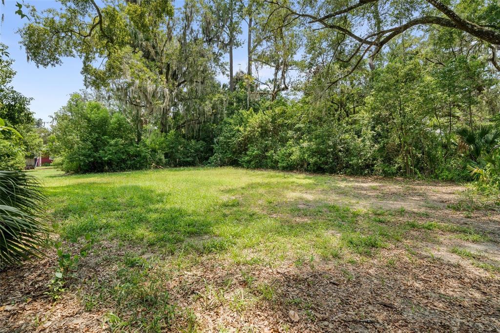 NW 246TH STREET, HIGH SPRINGS, FL — photo 3 of 19
