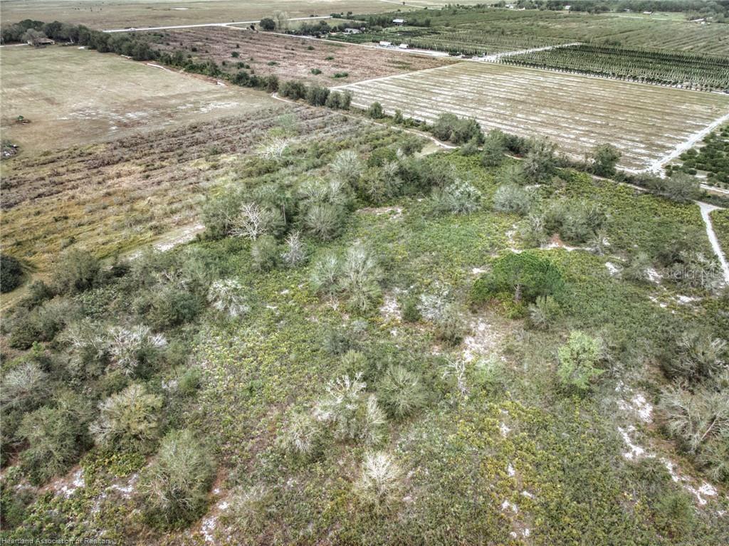 An aerial view shows a large, undeveloped plot of land covered in trees and brush — 701 JOLLY LANE, LORIDA, FL