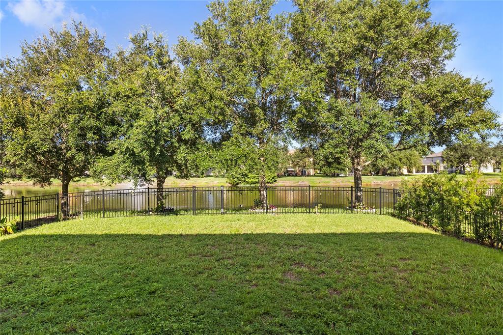 A grassy backyard features a black metal fence overlooking a pond and mature trees — 5045 BALLARK STREET, MOUNT DORA, FL