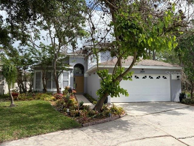 2809 RUNYON CIRCLE