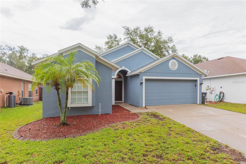 A blue single-story house with a two-car garage, a palm tree, and a concrete driveway — 11706 PURE PEBBLE DRIVE, RIVERVIEW, FL