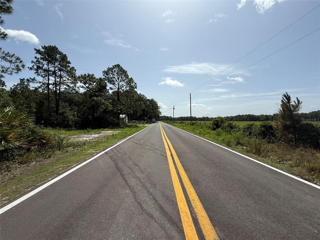 A two-lane asphalt road stretches into the distance between trees and open fields — 174 MILLICAN ROAD, PALATKA, FL