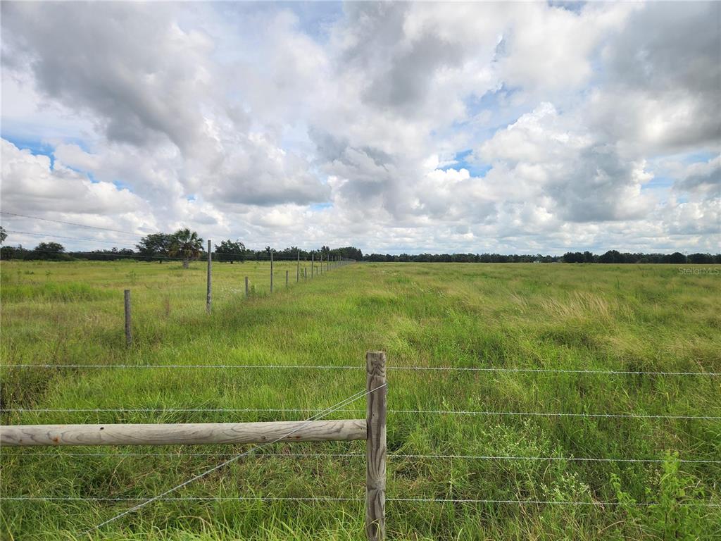 A wire fence runs through a large, grassy field under a cloudy sky — GOUGH ROAD, ONA, FL