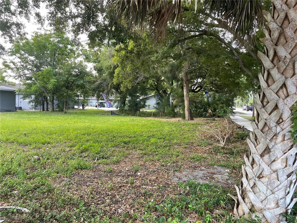 A grassy, tree-filled vacant lot sits next to a sidewalk and a palm tree — PINELLAS STREET, CLEARWATER, FL