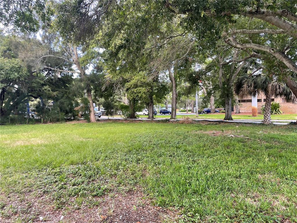 A grassy, tree-lined vacant lot viewed from a slightly elevated perspective — PINELLAS STREET, CLEARWATER, FL